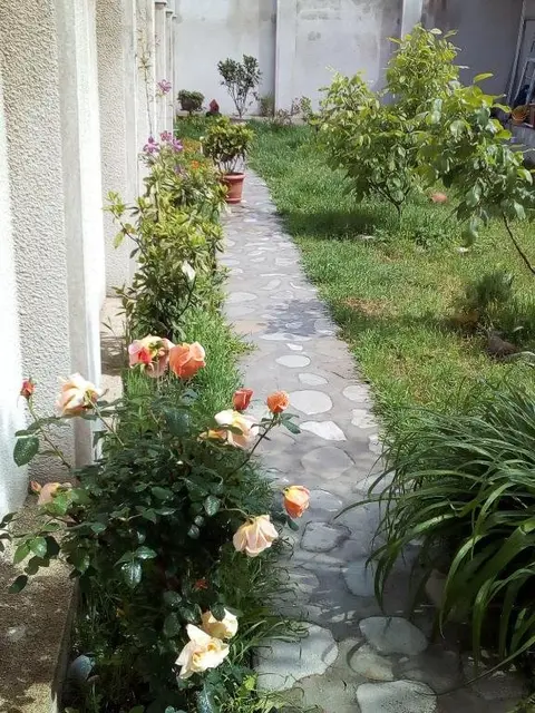 Телави: Nino's Guest House