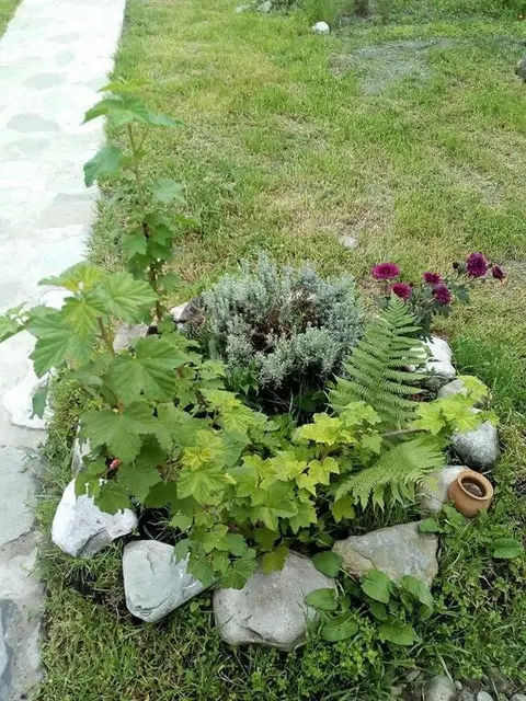 Телави: Nino's Guest House