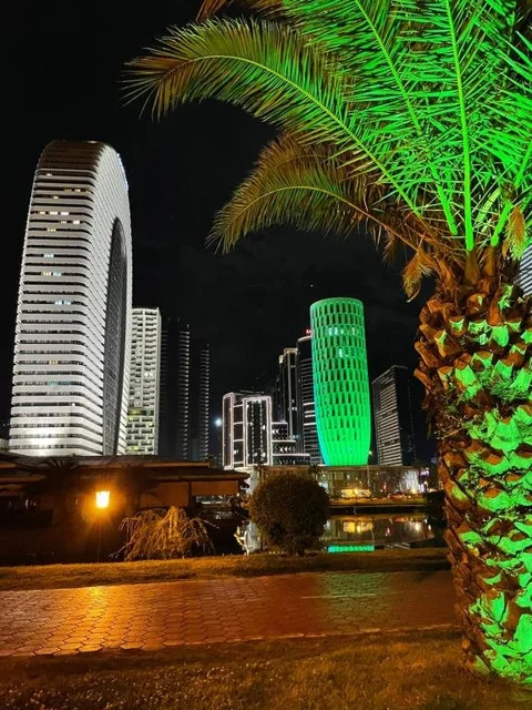Батуми: Apartamenty Pirosmany 18