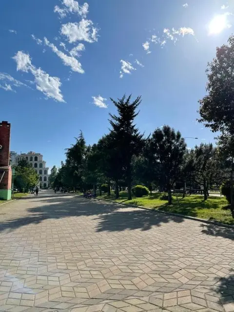 Батуми: Apartamenty Pirosmany 18