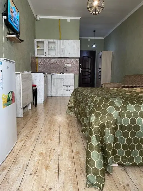 Батуми: Apartamenty Pirosmany 18