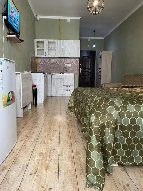 Батуми: Apartamenty Pirosmany 18
