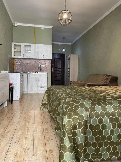 Батуми: Apartamenty Pirosmany 18