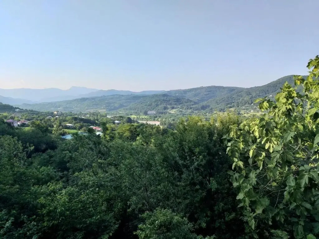 Кутаиси: Guesthouse Lady
