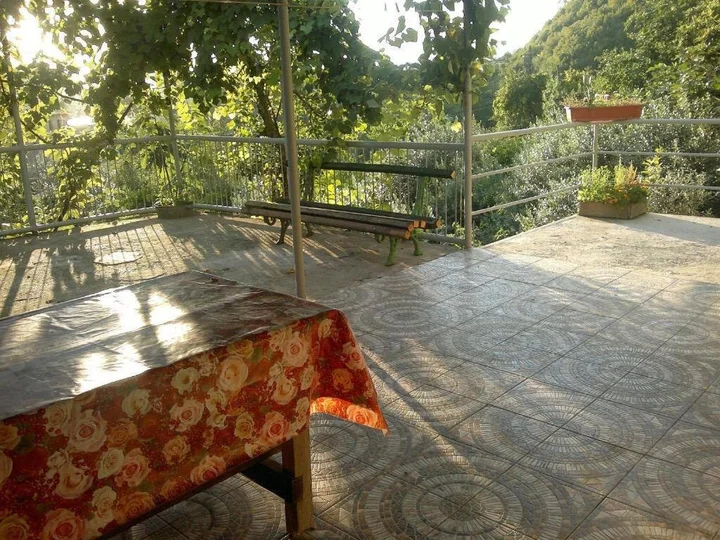Гагра: Guesthouse in Gagra