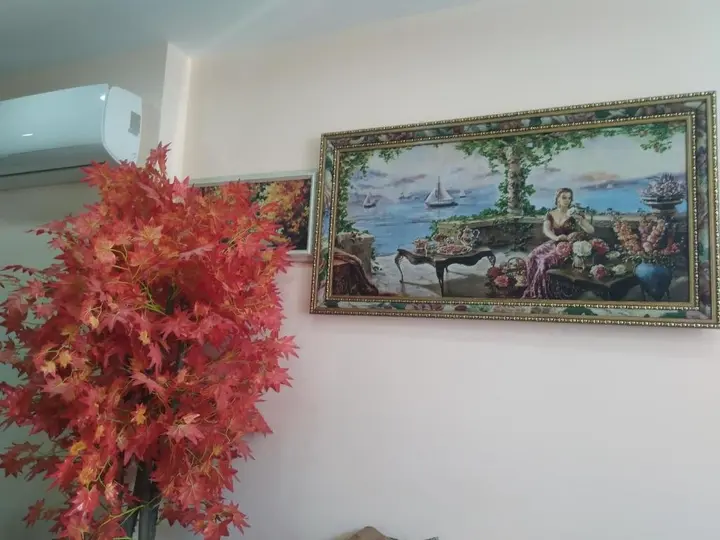 Батуми: Apartament sido