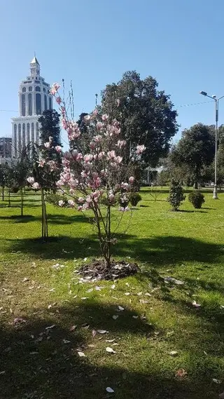 Best Sea View Batumi — фото 4