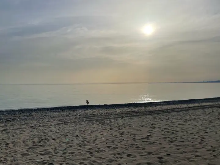 Сухум: Отель sea land cottege