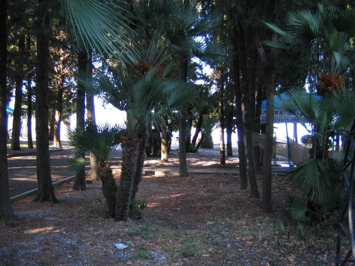 Гагра: Apartment on Abazgaa 61