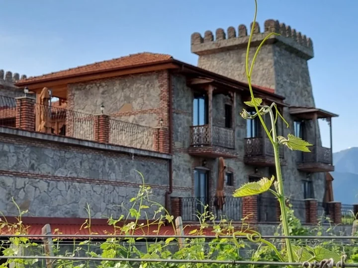 Шилда: Отель Chateau Davitiani