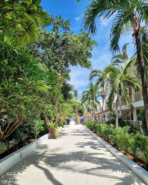 Самуи: Elephant Beach Club & Resort Samui