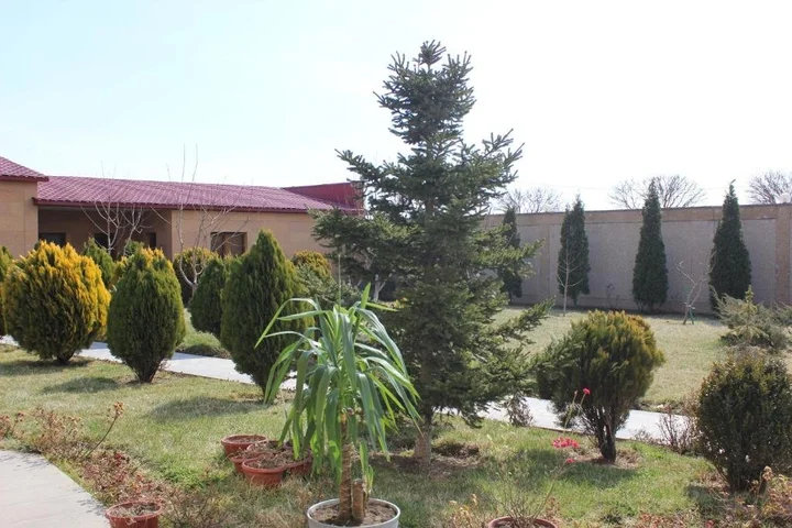 Ереван: Luxury Villa With The Best Garden & Tours