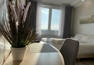 Зеленоградск: Апартаменты Forest view