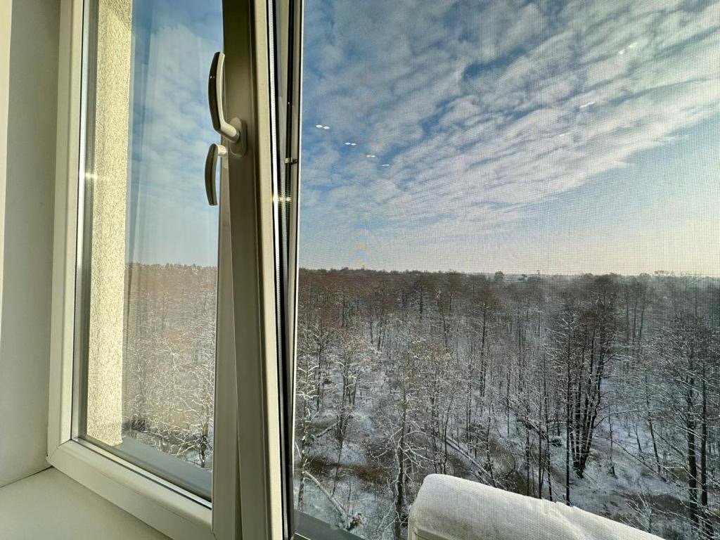 Зеленоградск: Апартаменты Forest view