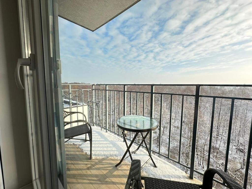 Зеленоградск: Апартаменты Forest view