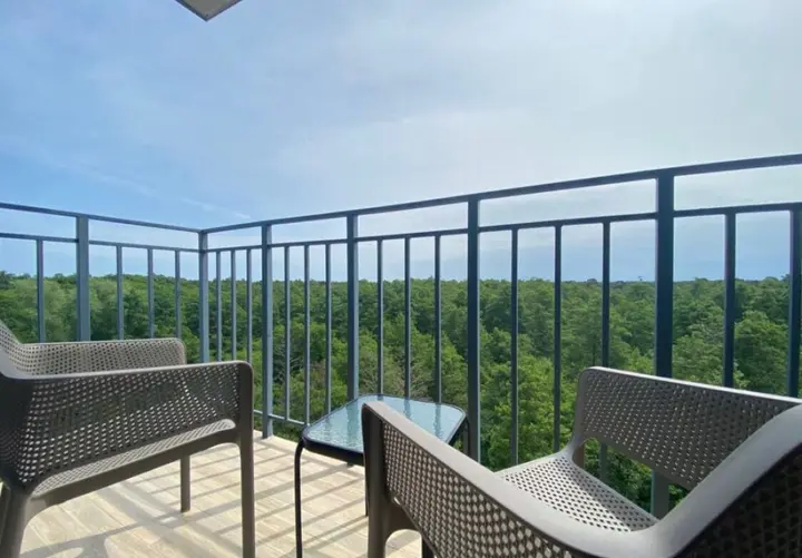 Зеленоградск: Апартаменты Forest view