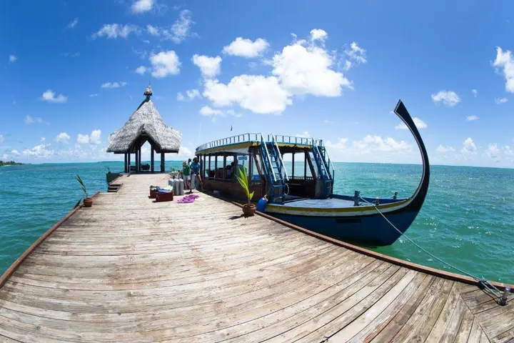 Атолл Адду: Canareef Island Resort