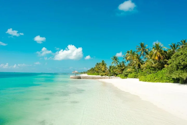 Атолл Адду: Canareef Island Resort