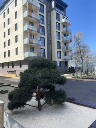 Светлогорск: Апартаменты Sea & Sun Prestige 7