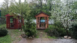 Каменномостский: Меблированные комнаты Надежда