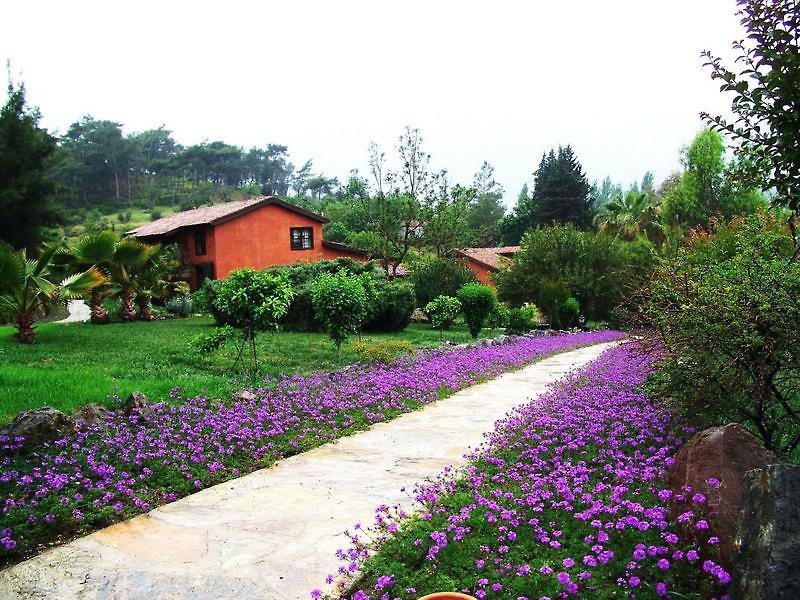Hotel Berke Ranch & Nature — фото 1