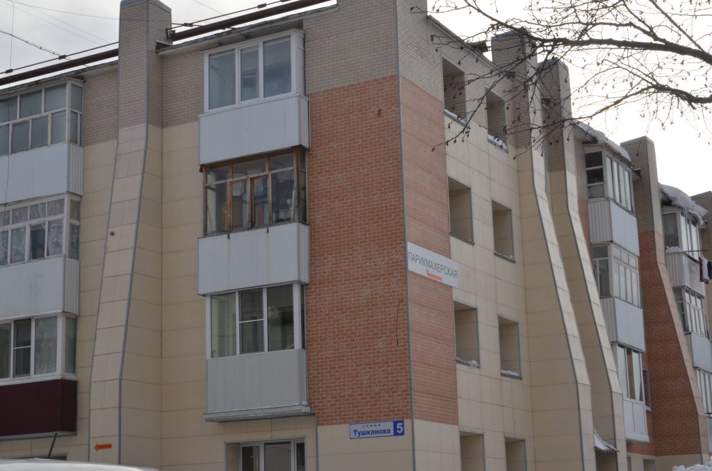 Петропавловск-Камчатский: Апартаменты Багира на Тушканова 5