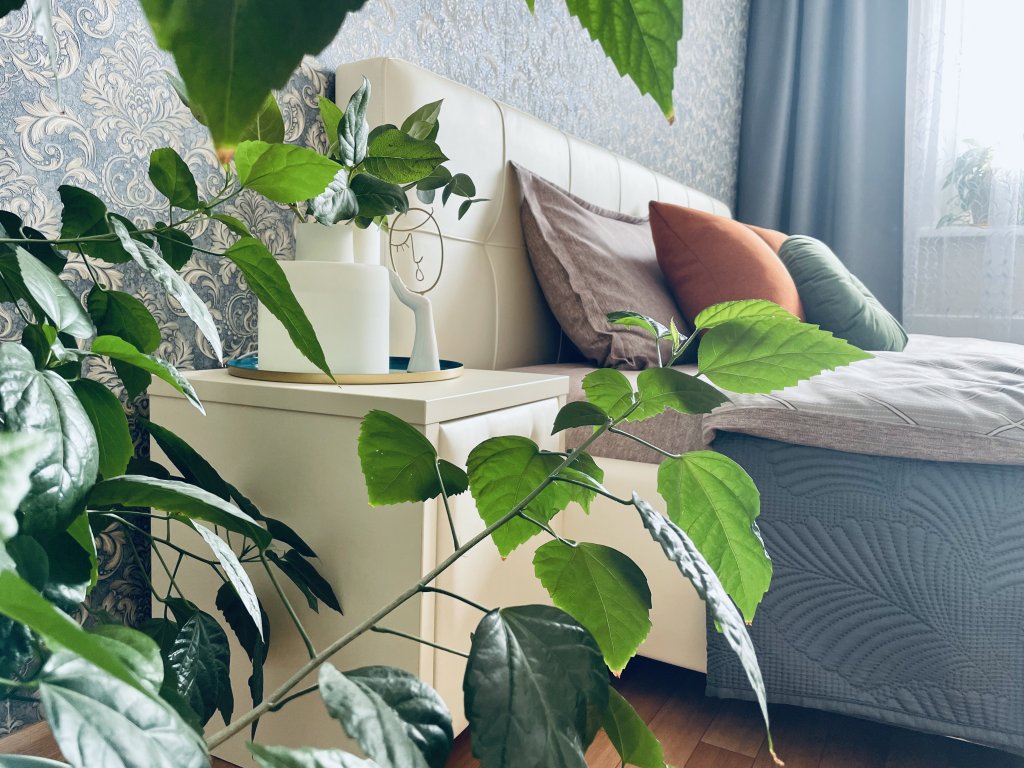 Красноярск: Апартаменты Argentum Home Корнеева 26