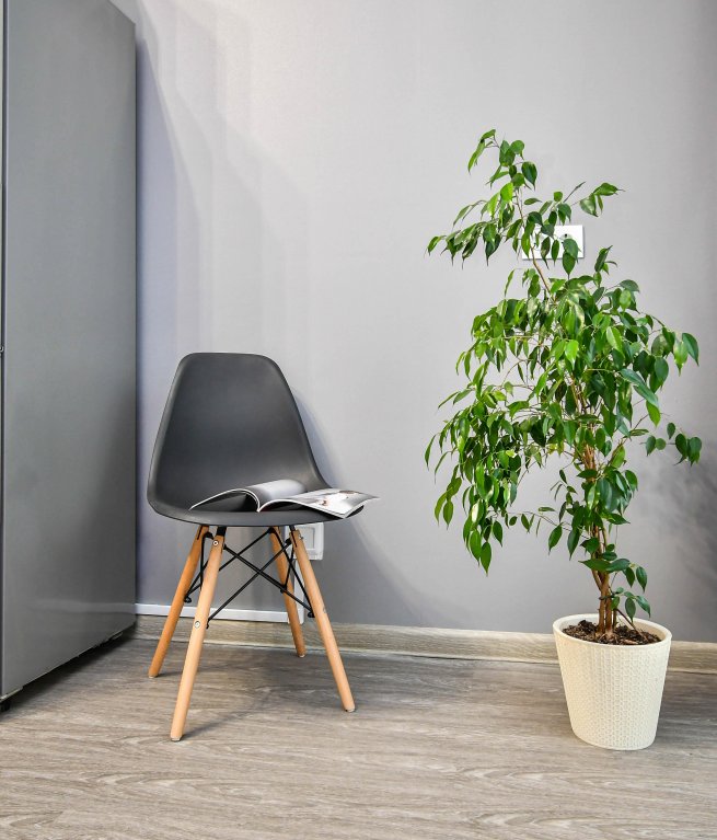 Красноярск: Квартира 1 к LUX