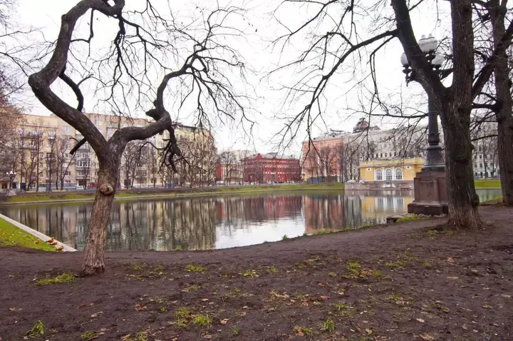 Москва: 3х комнатные апартаменты на Тверской , Патриарших