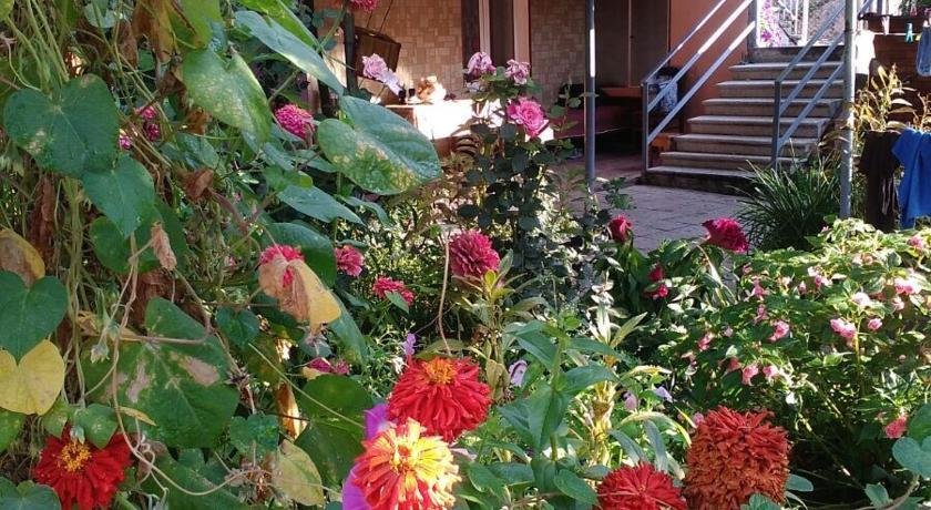 Ахалцихе: Tsiskari Guest house