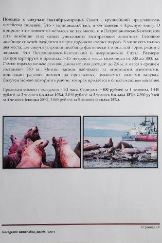 Петропавловск-Камчатский: Welcome Home Aparts 39