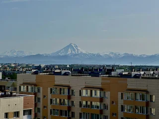 Петропавловск-Камчатский: Квартира IZI home Kamchatka с видом на город
