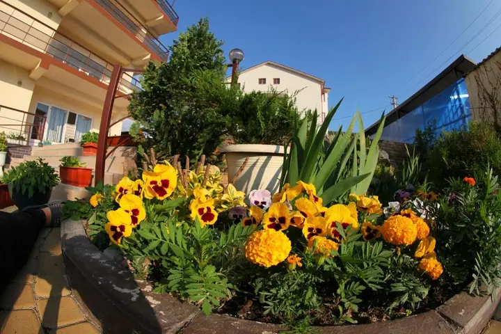 Сукко: Gorny Vozdukh Guest House