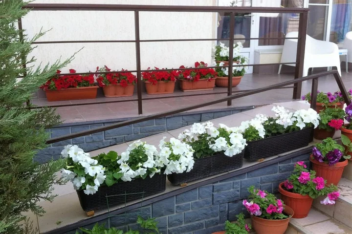 Сукко: Gorny Vozdukh Guest House