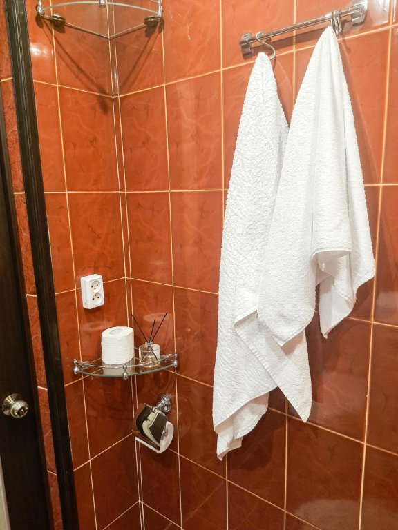 Петропавловск-Камчатский: Апартаменты на улице Горького