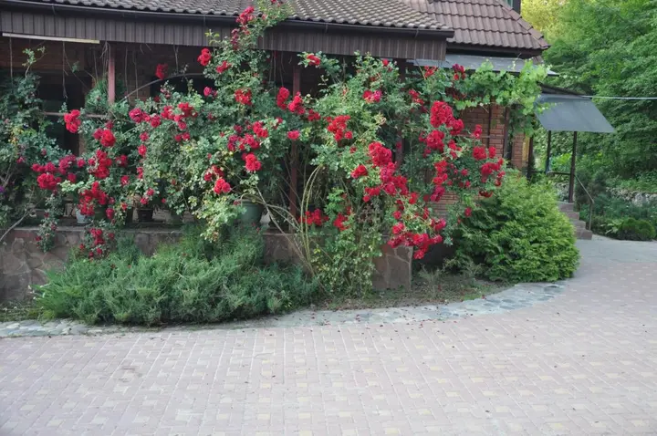 Каменномостский: Гостевой дом Эдельвейс