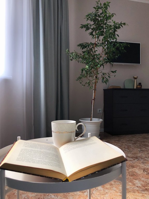 Красноярск: Апартаменты Argentum Home Караульная 82