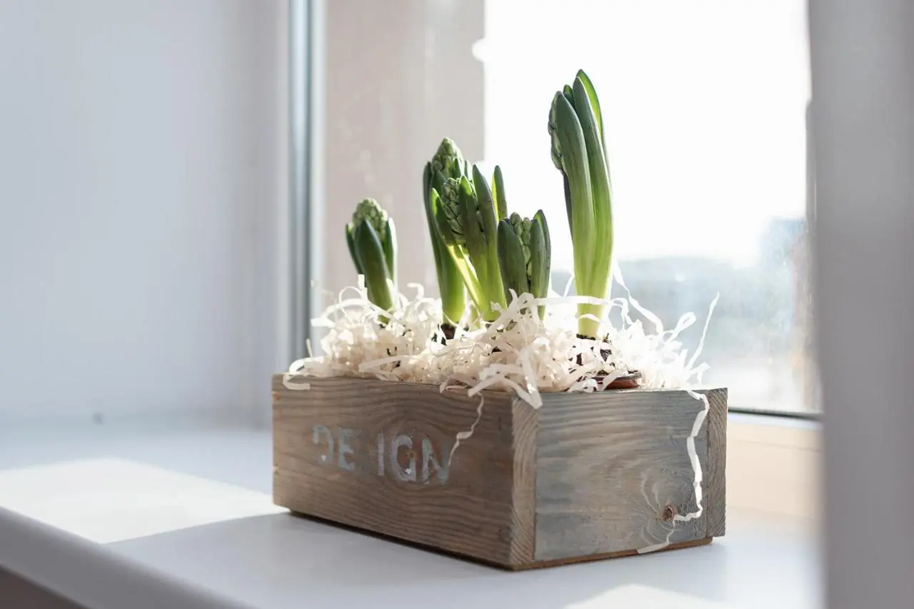 Санкт-Петербург: Star Home — хостел