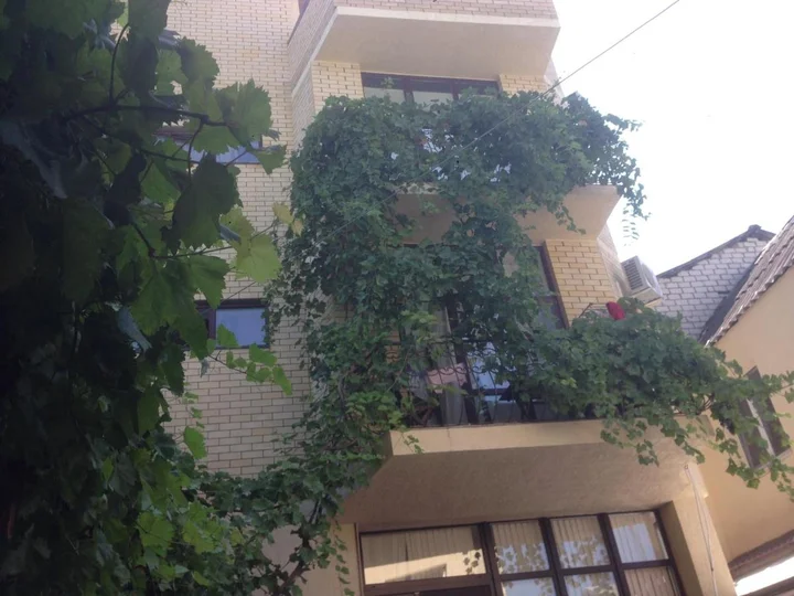 Анапа: Guest House Verosa