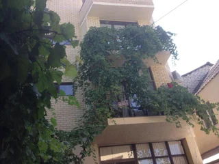 Анапа: Guest House Verosa