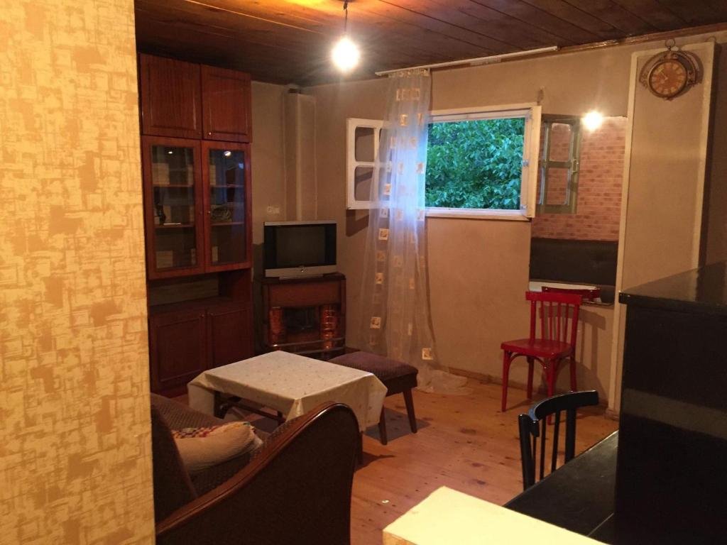 Боржоми: Guesthouse Likani