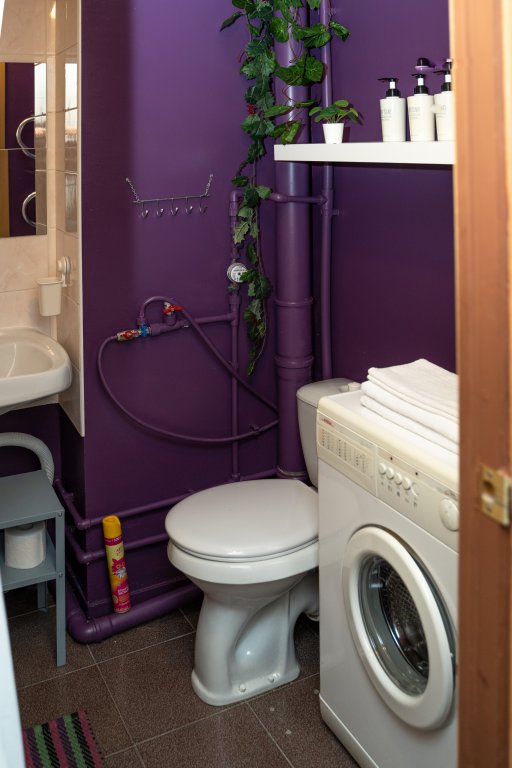 Гатчина: Квартира Cozy home Violet