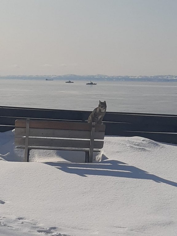 Южно-Сахалинск: Гостевой дом Bay House Sakhalin