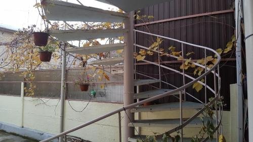 Гагра: Guest house Uyt