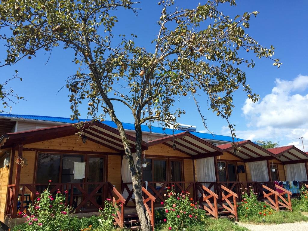 Цандрыпш: Mimi Guest House