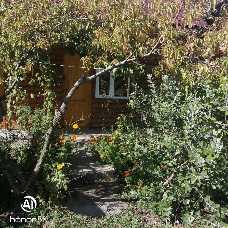Алахадзи: Na Shaumyana Guest House