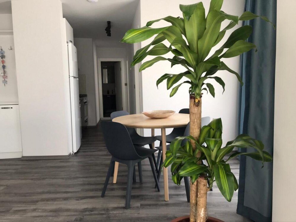 Мармарис: Vibrant Apartment 7 Min to Marmaris Beach