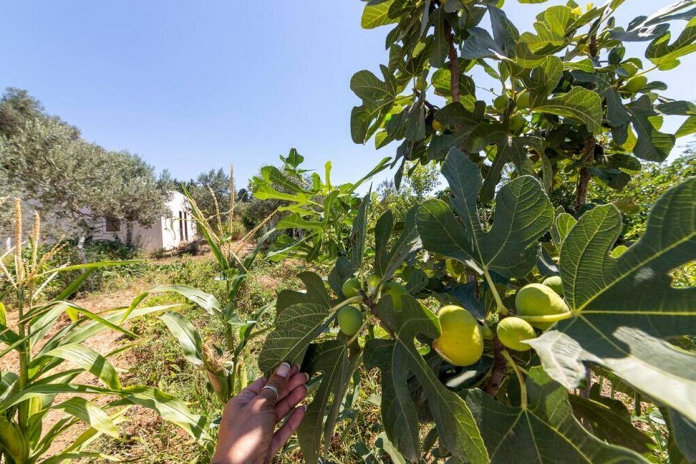 Битез: 2 BR House With Calming Garden in Bodrum