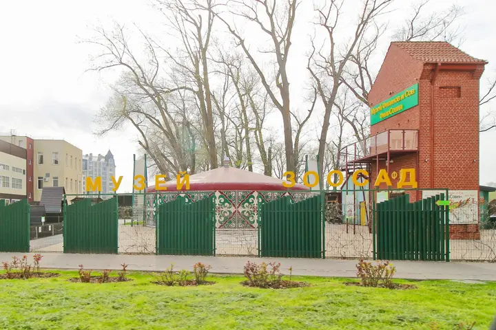 Зеленоградск: Квартира Кранц Престиж
