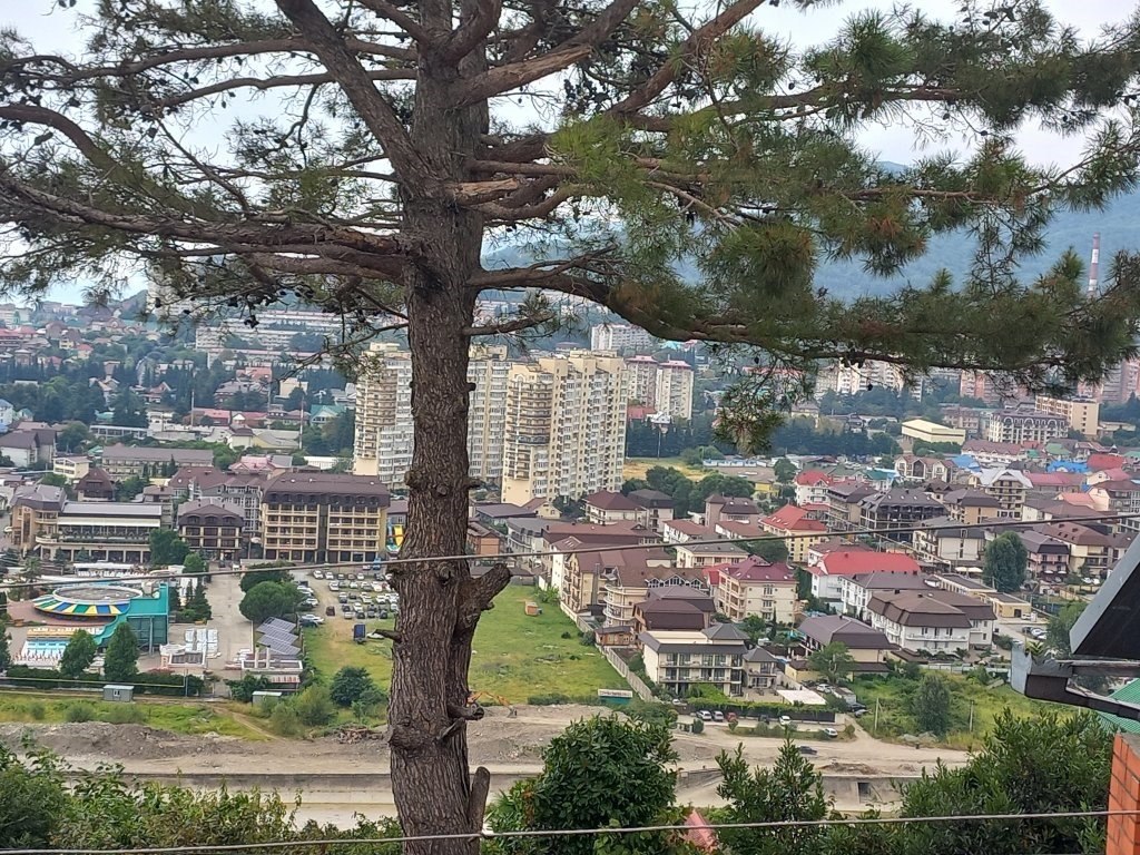 Лазаревское: Aleksandriya Guest House